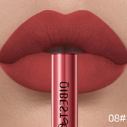 QIBEST Matte Liquid Lipstick Waterproof Long Lasting Velvet Lip Gloss