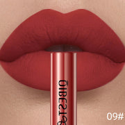 QIBEST Matte Liquid Lipstick Waterproof Long Lasting Velvet Lip Gloss