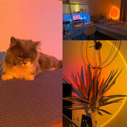 Sunset Light LED Rainbow Neon Night Lamp Sunset Projector